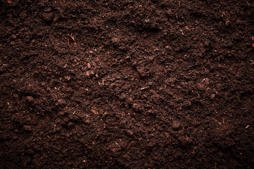 Why Soil Texture Is Important for Your Flowering Plants and Vegetables